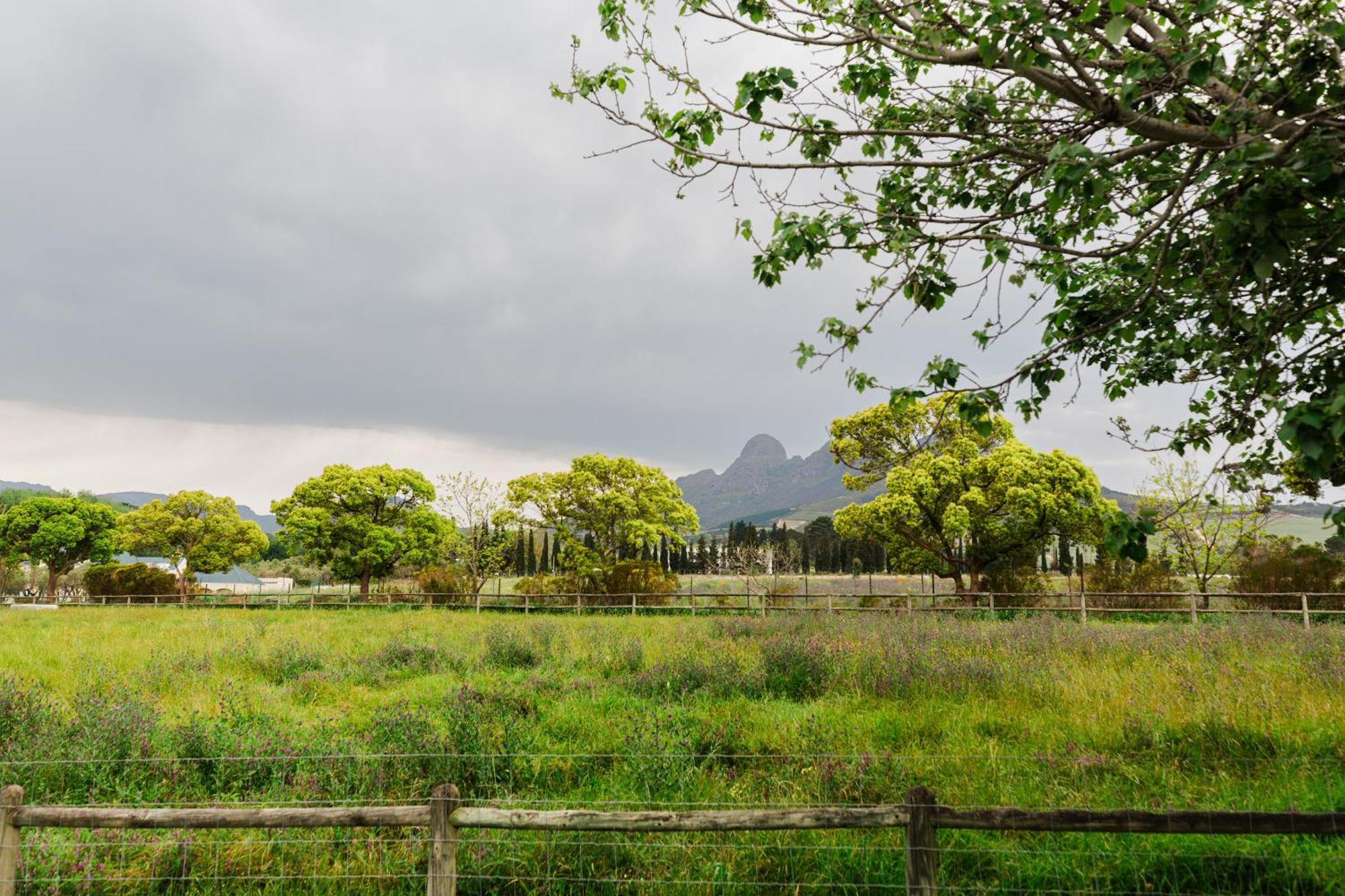 Marshden Estate Bed & Breakfast Stellenbosch Bagian luar foto