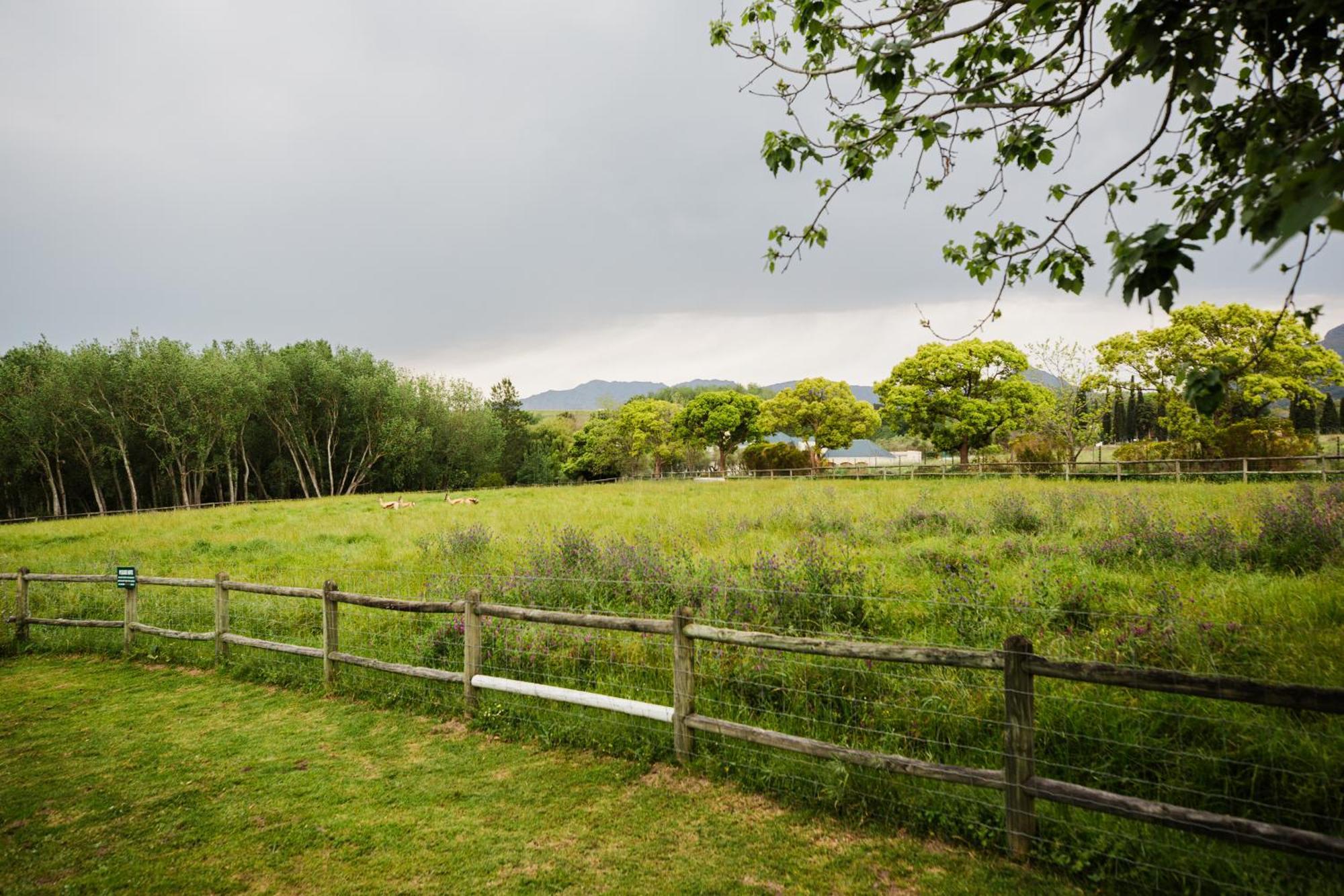 Marshden Estate Bed & Breakfast Stellenbosch Bagian luar foto